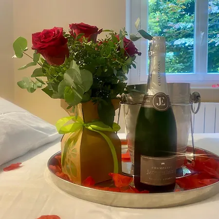 La Bellevue En Plein Du Coeur Centre-ville Avec Wifi مييو